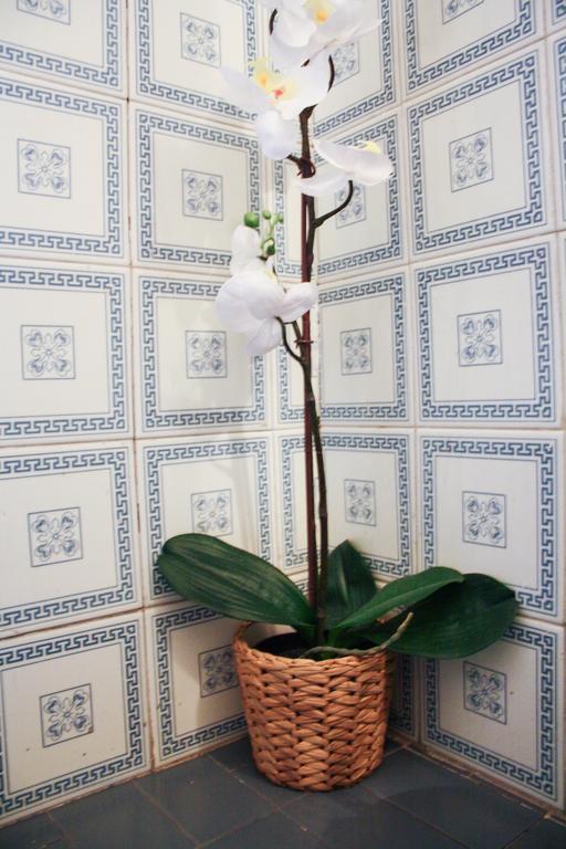 Salotto Vaticano B&B Rome Exterior photo